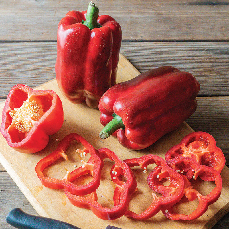 Frodo – Bell Pepper Seed